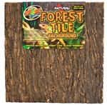 Natural Forest Background