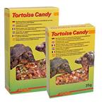 Tortoise Candy