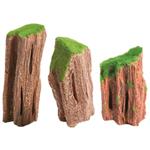 Fossil Wood