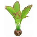 Easy Plant 2, 9 & 18 Zijde