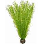 Easy Plant 11 & 16 Zijde