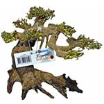 Bonsai Driftwood