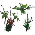 Deco Spider & Plants