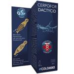 Dactycid