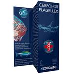 Flagellex
