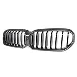 BMW 5 Serie G30 | G31 LCI Carbon grill nieren