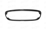Jaguar F-Type Carbon Fiber Radiator Voor Grill cover