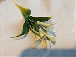 Corsage Pick – White Kunst Stephanotus – Per Stuk – Voor Toefjes en Corsages voor toefjes om corsage