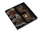 Bruine Vlinders met Clip – 8 cm – 6 stuks – Voor Bloemschikken, Bruiloft, Kerstboom, Corsage en Deco