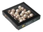 Kerstballen van Glas Champagne - 20/25/30mm 6 bundels van 6=36 Supermooi! Bijzondere Decoratie voor 