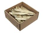 Eucalyptusbladeren Eucalyptusblaadjes Goud doosje 100 gr – Perfect voor Groendecoraties en Bloemschi
