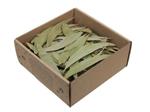 Eucalyptusbladeren Eucalyptusblaadjes doosje 100 gr – Perfect voor Groendecoraties en Bloemschikken