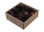 Leucodendron assortiment Zwart Black wash 640 gr – Perfect voor Groendecoratie en Bloemschikken – Pe