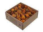 Leucodendron assortiment Oranje Goud wash 640 gr – Perfect voor Groendecoratie en Bloemschikken – Pe