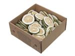 Limoenschijfjes Groen - 250 gr in Handige Doos – Perfect voor Decoraties en Creatieve Projecten – Pe
