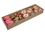 Protea Exotic Assortiment - Naturel (Doos van 30 Stuks) – Bijzondere Exotische Droogbloemen - Bijzon