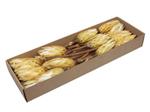 Protea Repens Suikerbossie - Naturel Cream (Doos van 24 Stuks) – Mooie Exotische Droogbloem Suikerbo