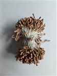 Meeldraad Meeldraden Creme 1 mm 576 stuks PAK Meeldraden