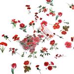 Bloemetjes en blaadjes ROOD voor bv Epoxy voor Epoxy Resin, Zeep, Kaarsen excl decoraties