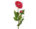 Actie Ranonkel Camelia DONKERROZE L.8cm W.10cm H.57cm / stuk Ranonkel Camelia zijdebloem
