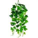 Hanger vuller Hedera groene bladeren Groene hangplanten