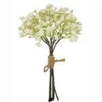 Gipskruid Dry color cream 29cm bundel   Gipskruid voor corsage of bloemen