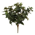 Hedera Bundel 40cm PREMIUM ENGLISH IVY BUSH GREEN Groen  Hedera boeket