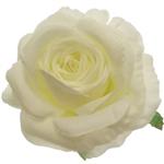 Zijde Rozen SINGLE ROSE FLOWER HEAD IVORY X 12 st Goedkoopje ROSE FLOWER HEAD