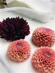 Silicagel Prepareerzout Fijn 0.2-0.8mm voor het drogen van bloemen 1000 gr Silica