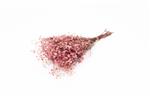 Gepreserveerd Gips Gipskruid Berry Roze 60cm. 55gr Gepreserveerd