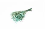 Gepreserveerd Gips Gipskruid Aquamarijn Turquoise 60cm. 55gr Gepreserveerd