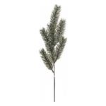 KerstGroen tak DennenGroen 66cm. KerstGroen tak