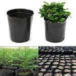 Zwarte plastic opkweekzakjes 8*8cm. Pak +/-100 flexibele potjes