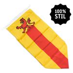 NR 435: Wimpel Zuid-Holland 100% stil-300cm (zonder stokje (met lus-lus))