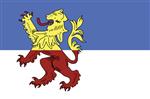 Vlag Neder-Betuwe 300x450 cm