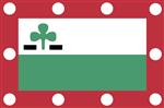 Vlag Meppel 300x450 cm