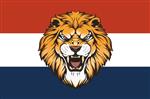 Vlag Holland Leeuw 1 300x450 cm