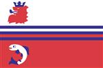 Vlag Neerijnen 300x450 cm