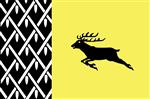 Vlag Nunspeet 300x450 cm