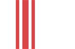 Vlag Oisterwijk 300x450 cm