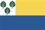 Vlag Oldebroek 300x450 cm