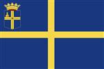 Vlag Oldenzaal 300x450 cm