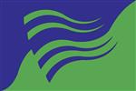 Vlag Olst-Wijhe 300x450 cm