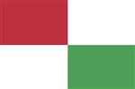 Vlag Opsterland 300x450 cm