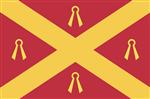 Vlag Wijchen 225x350 cm