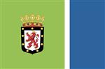 Vlag Montferland met wapen 225x350 cm