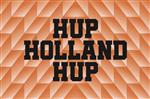 Vlag Holland 1988 225x350 cm