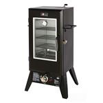 Gas smoker 