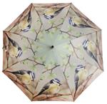 Paraplu vogel, Pimpelmees     TP135D
