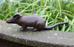 Muis 13 cm. gietijzer MG210